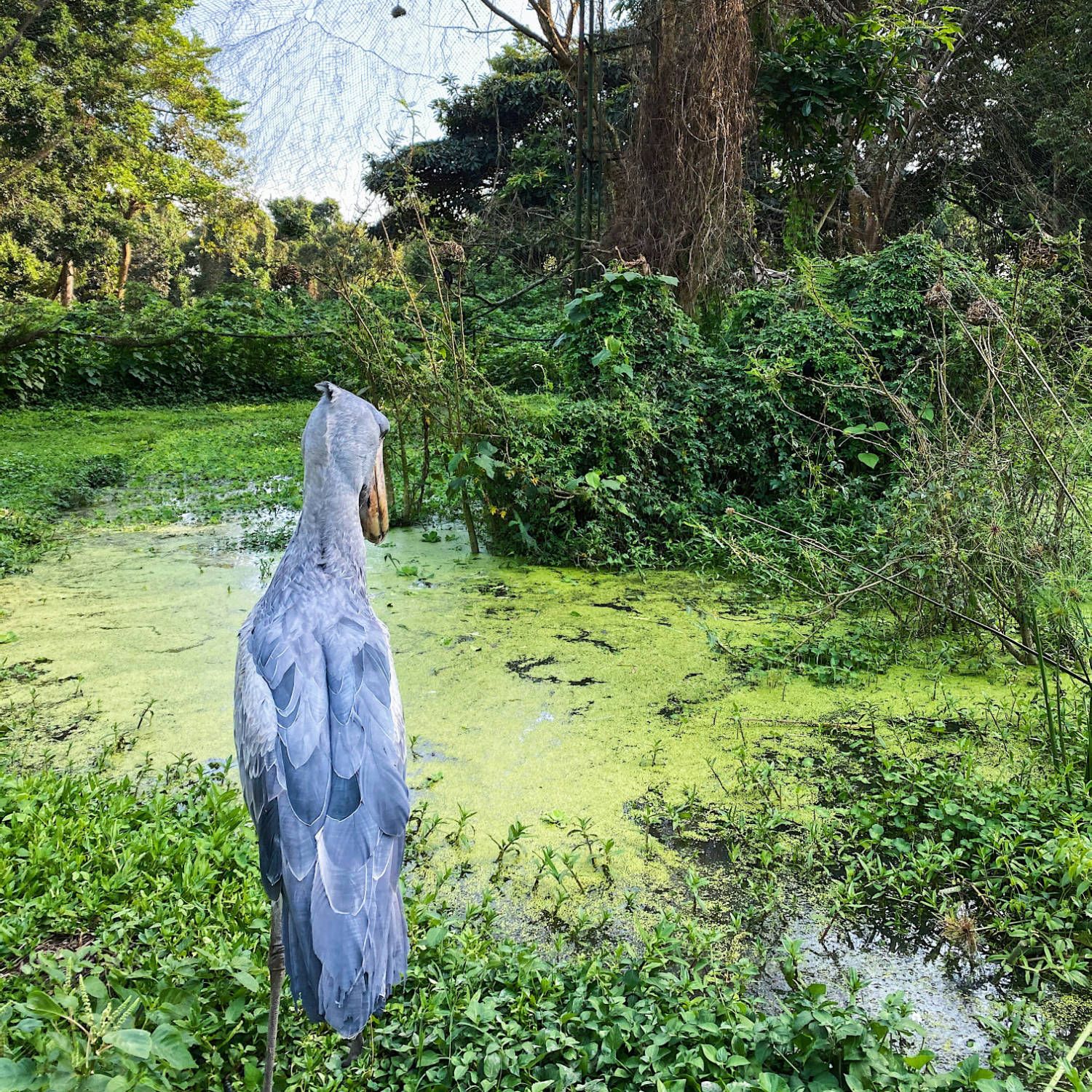 Onomo Hotel Kampala Nature 1 1 — Ville Des Collines 3 Jours A Kampala | Onomo Hotels